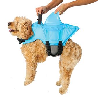 shark vest for dogs
