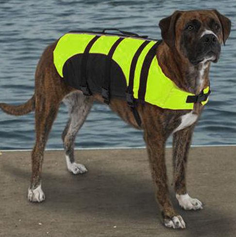 teacup dog life jacket